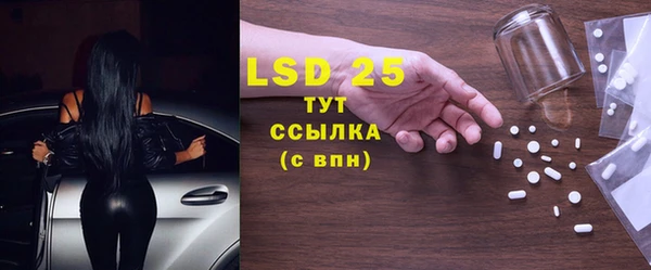 шишки Абинск
