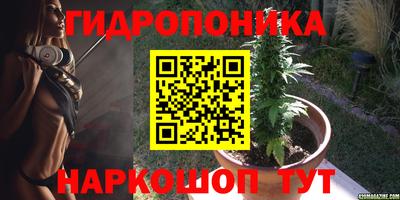 гашик Баксан