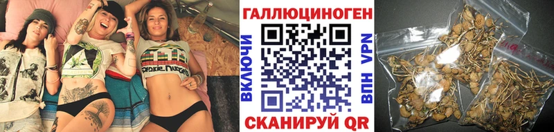 Галлюциногенные грибы GOLDEN TEACHER  как найти закладки  Моршанск 